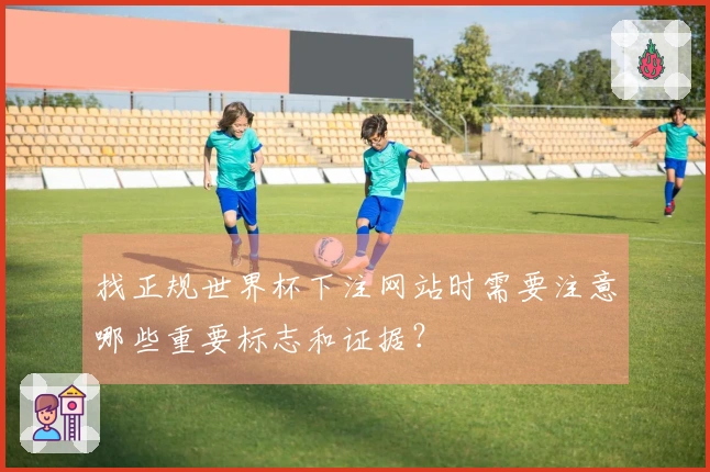 找正规世界杯下注网站时需要注意哪些重要标志和证据？