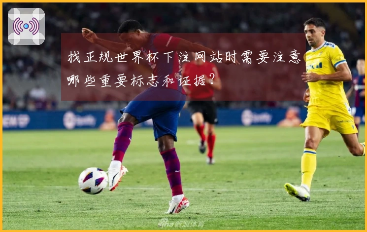 找正规世界杯下注网站时需要注意哪些重要标志和证据？