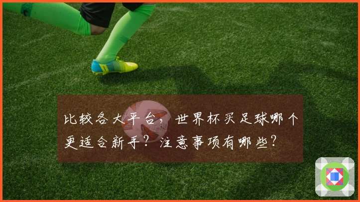 比较各大平台，世界杯买足球哪个更适合新手？注意事项有哪些？