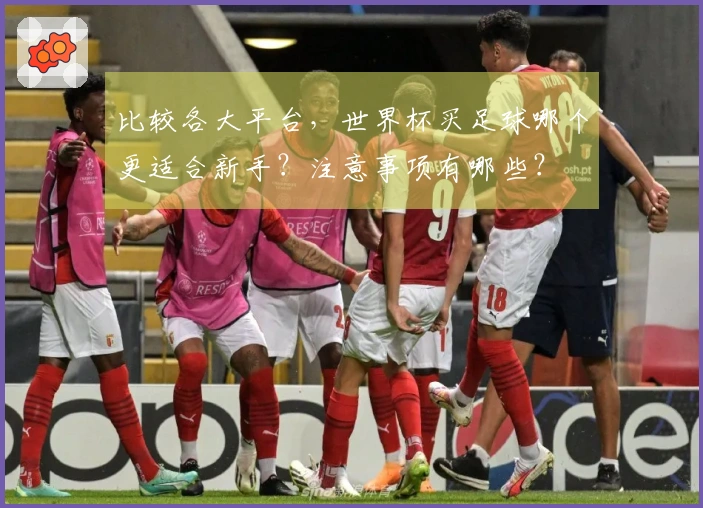 比较各大平台，世界杯买足球哪个更适合新手？注意事项有哪些？