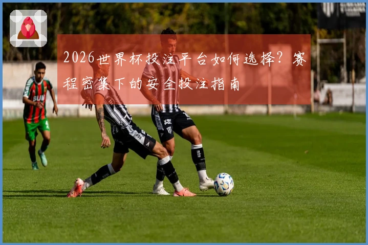 2026世界杯投注平台如何选择？赛程密集下的安全投注指南